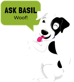 Ask Basil